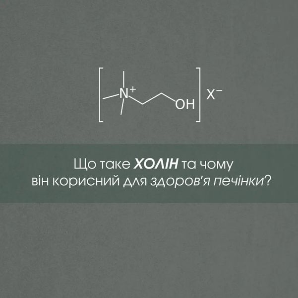 Гепатофлор Фітокомплекс  - для очищення і відновлення печінки, 60 таблеток в баночці 4820171414750 фото