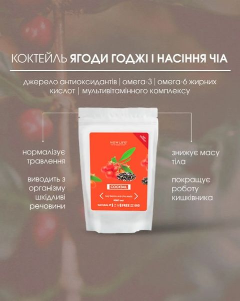 Протеиновый коктейль Ягоды Годжи и семена Чиа, 200 g New Life 4820171413746 фото